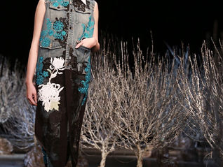 Mille vite dei jeans usati