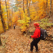 Meditasyon Seansları & Yoga