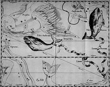 Pisces Constellation, by Hevelius.